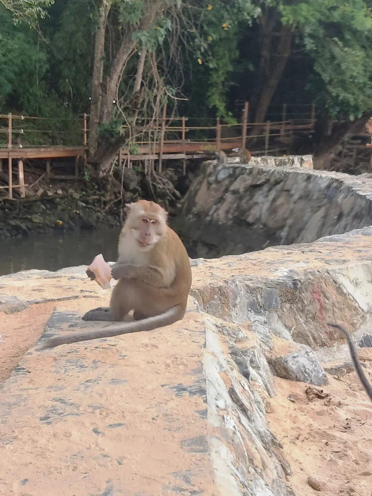 Ao Nang, Krabi – tajlandzka brama do rajskich wysp